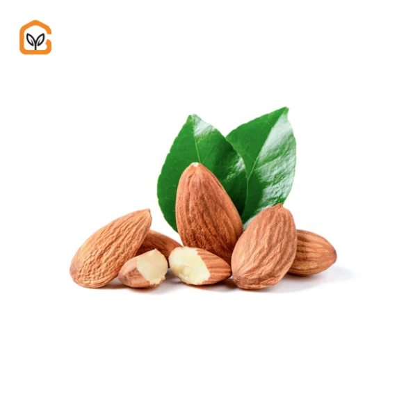 কাঠ বাদাম/Almond (৫০০ গ্রাম)